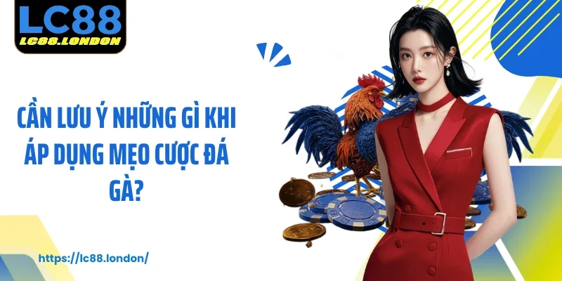 Cần lưu ý những gì khi áp dụng mẹo cược đá gà?