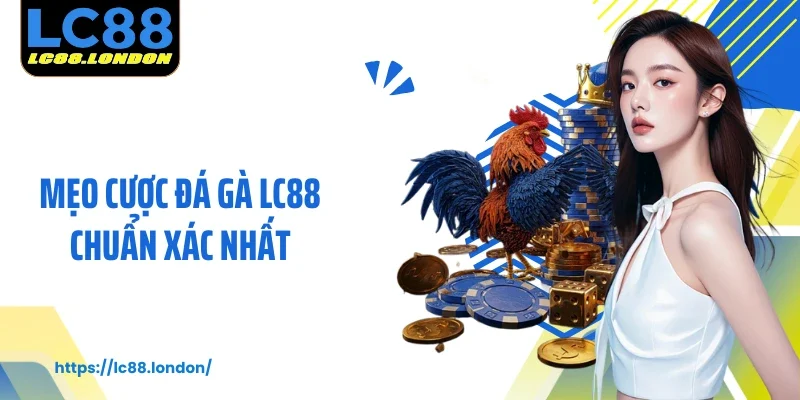 Mẹo Cược Đá Gà LC88 Chuẩn Xác Nhất Dành Cho Người Mới