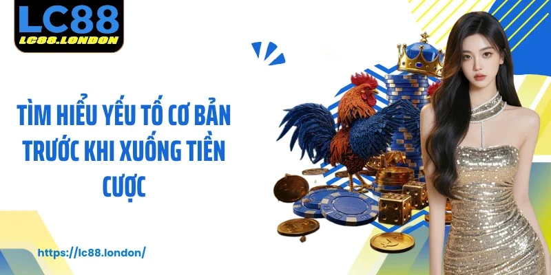 Tìm hiểu yếu tố cơ bản trước khi xuống tiền cược
