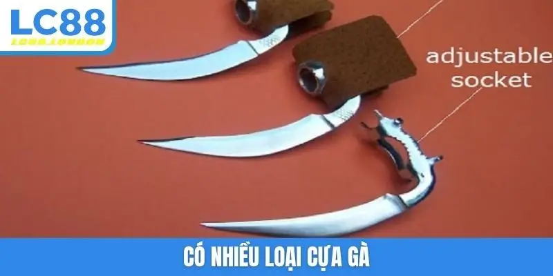 Có nhiều loại cựa gà