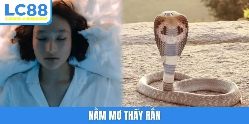 Nằm mơ thấy rắn