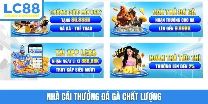 Nhà cái thưởng đá gà chất lượng